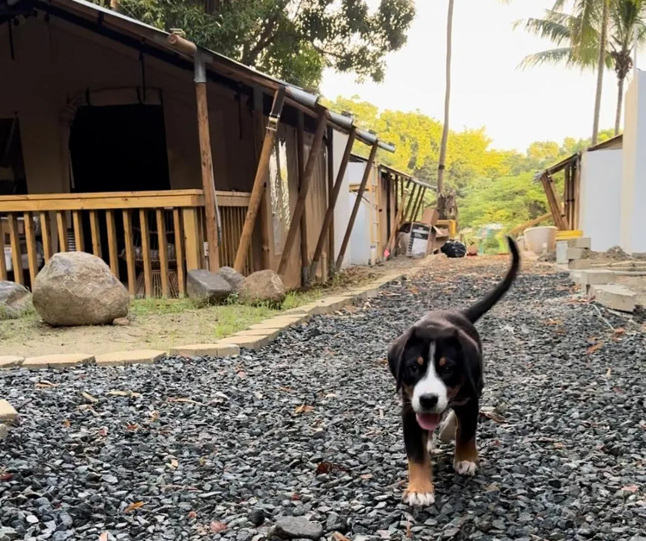 מלון סן חואן Jardin Al Bosque-Glamping פוארטו ריקו