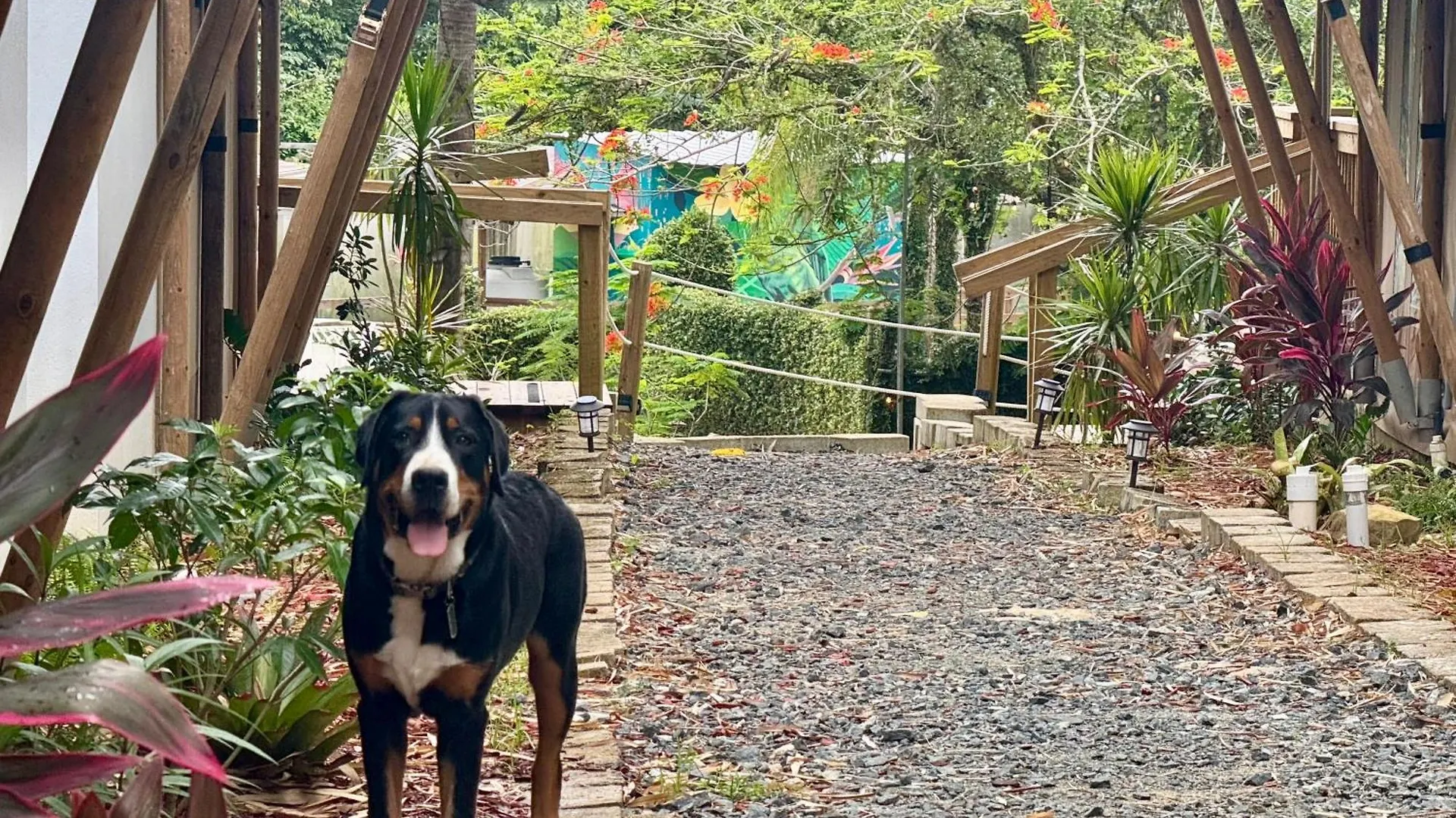 מלון סן חואן Jardin Al Bosque-Glamping אוהל מפואר